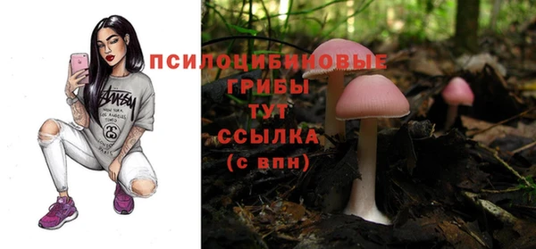 Альфа ПВП Дмитровск