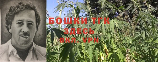 Альфа ПВП Дмитровск