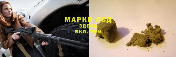 шишки Дмитриев