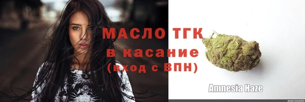 шишки Дмитриев
