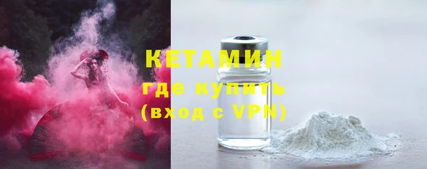 шишки Дмитриев