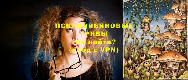 шишки Дмитриев