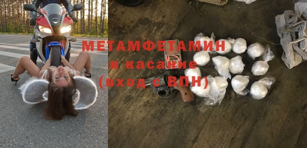 шишки Дмитриев