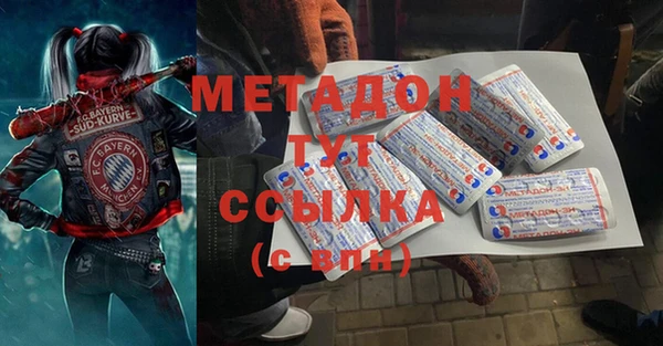 шишки Дмитриев