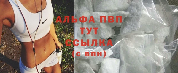 шишки Дмитриев