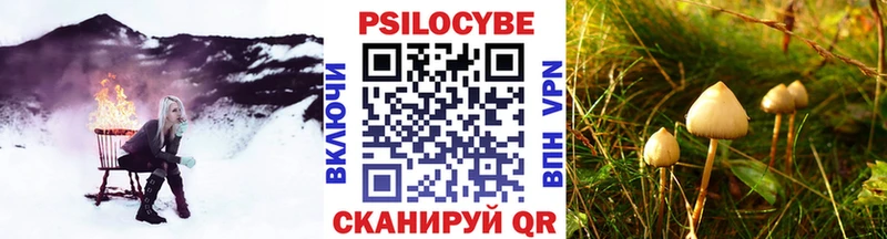 Псилоцибиновые грибы мицелий  OMG маркетплейс  Старый Оскол 